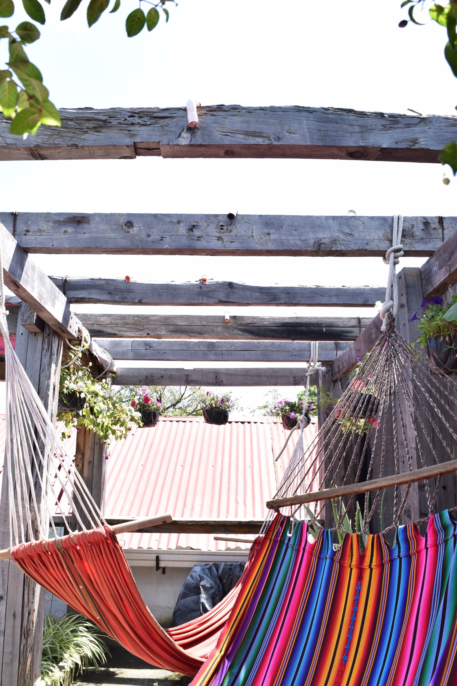 Nikon D3300 sample photo. Chill, hammock, outdoors, rooftop photography