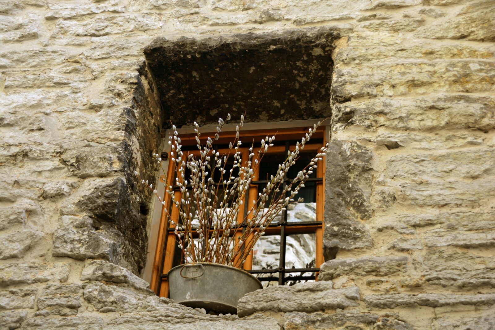 Nikon D7100 sample photo. Window, wall, old photography