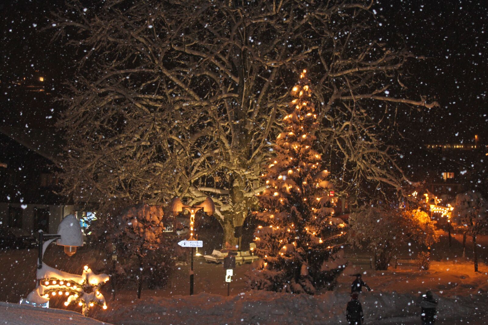 Canon EOS 500D (EOS Rebel T1i / EOS Kiss X3) sample photo. Christmas, snow, winter photography