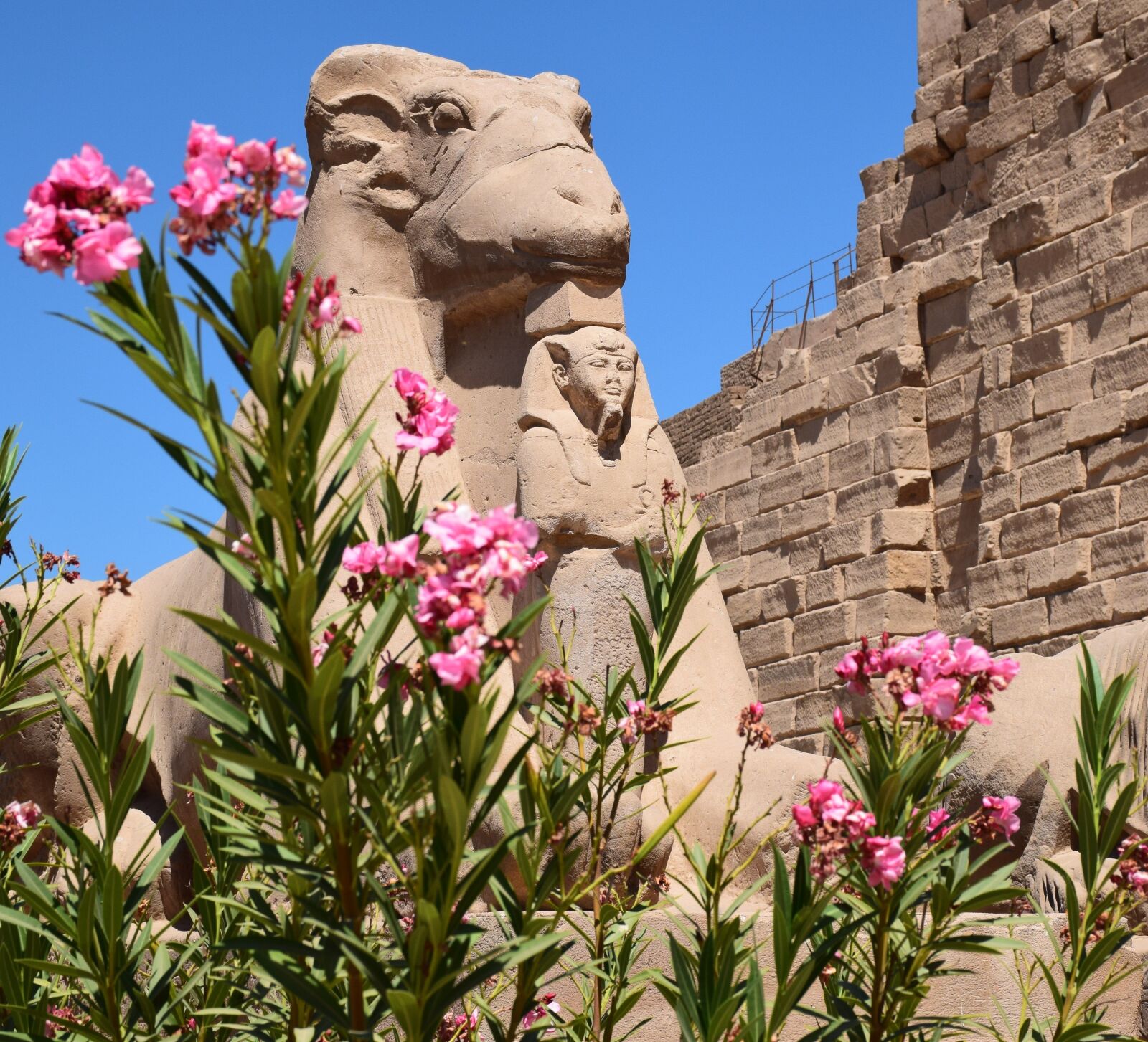 Nikon D5300 sample photo. Karnak, temple, luxor photography