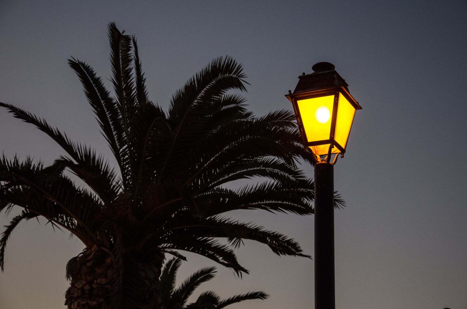Nikon D5100 sample photo. Cyprus, vacations, summer photography