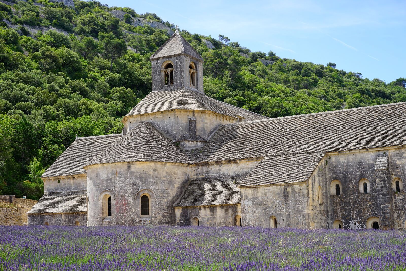 Sony a7 + Sony Sonnar T* FE 55mm F1.8 ZA sample photo. Abbaye de s nanque photography