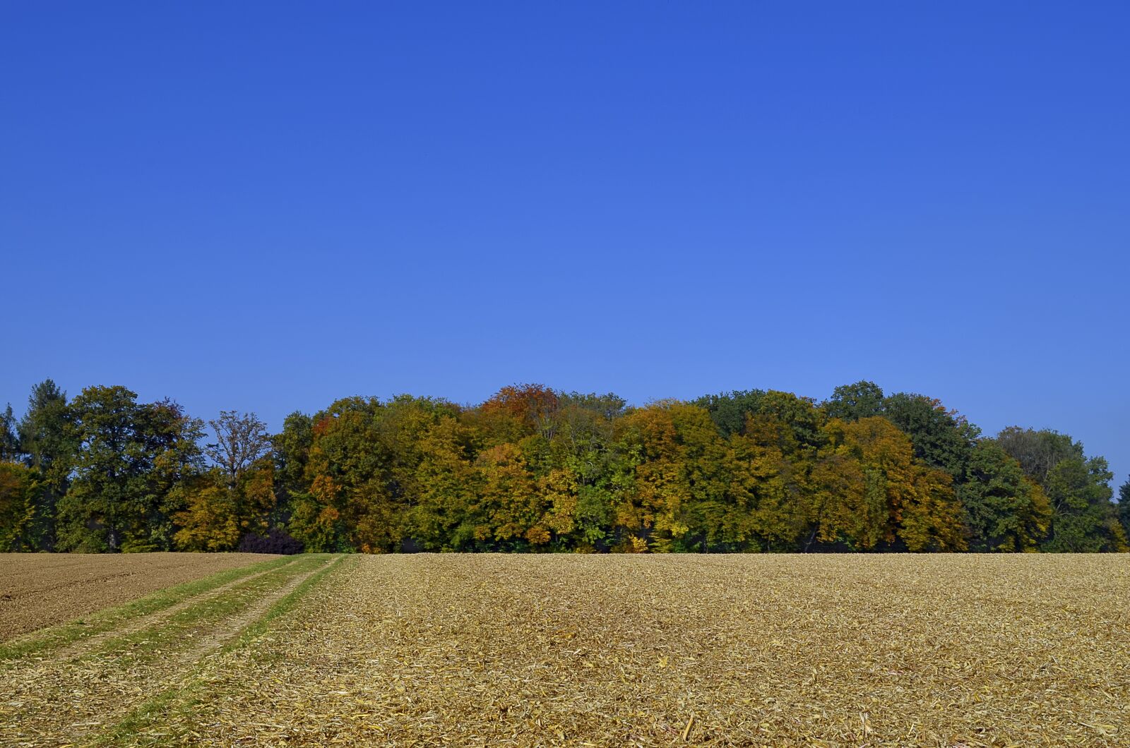 Nikon D5100 sample photo. Nature, panorama, landscape photography