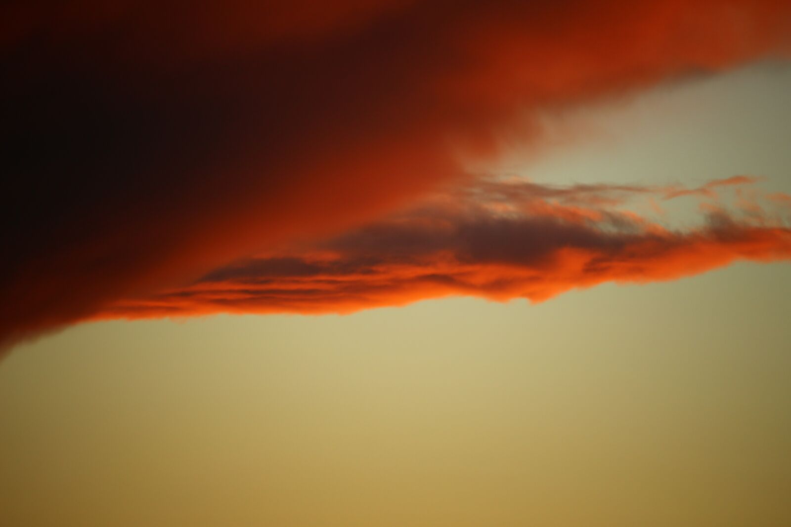 Canon EOS 100D (EOS Rebel SL1 / EOS Kiss X7) sample photo. Sky, clouds, forward photography