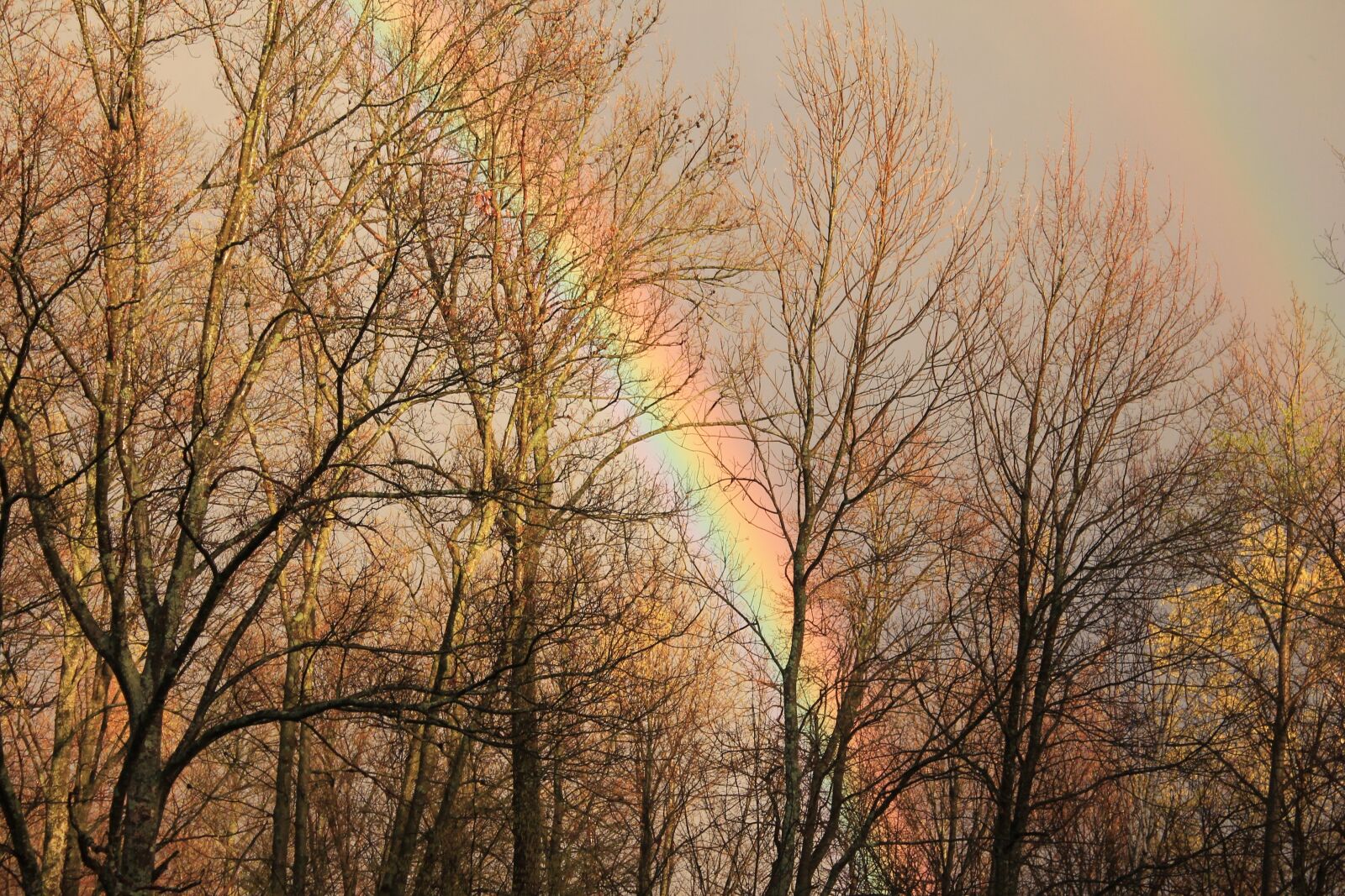 Canon EOS 1100D (EOS Rebel T3 / EOS Kiss X50) sample photo. Fall, rainbow, nature photography