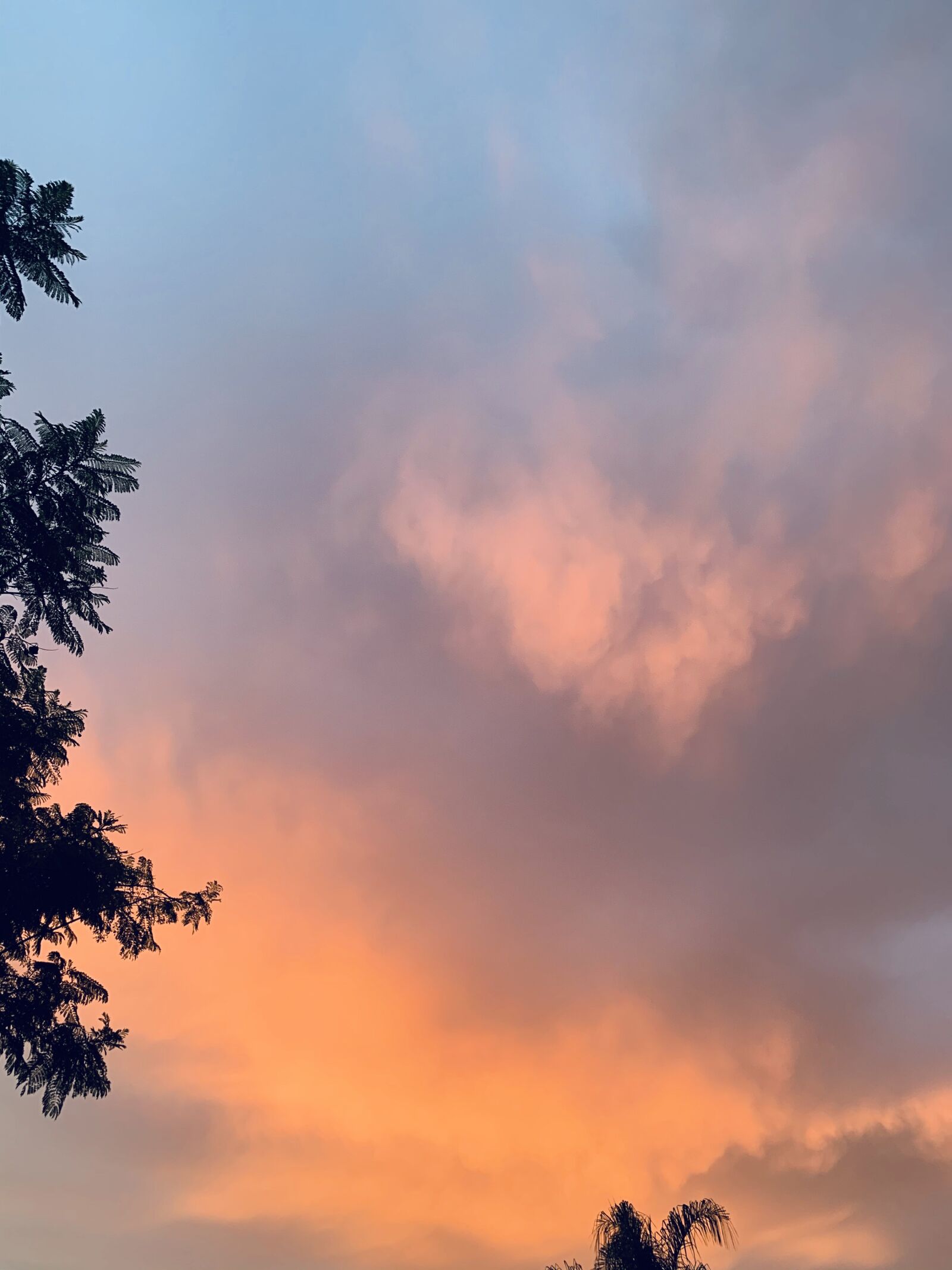 Apple iPhone XR sample photo. Cloud, sunset, sky photography