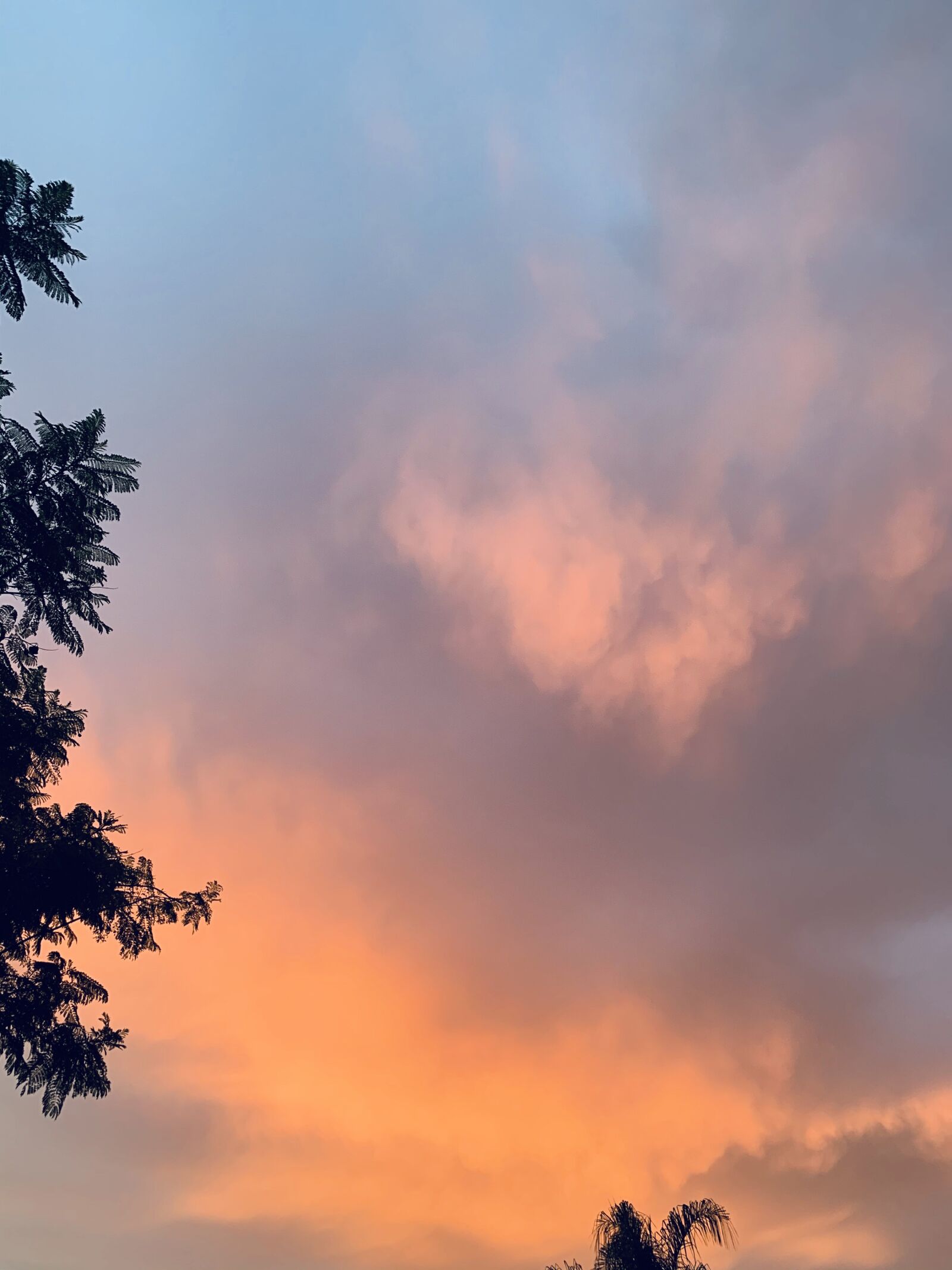iPhone XR back camera 4.25mm f/1.8 sample photo. Cloud, sunset, sky photography
