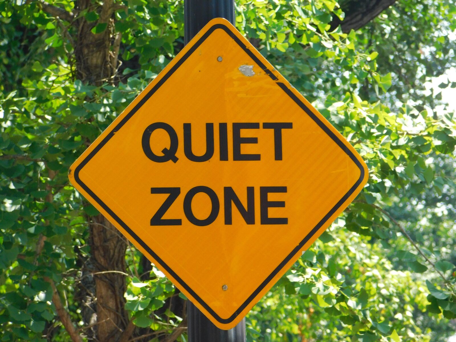 Nikon Coolpix B500 sample photo. Quiet, zone, sign photography