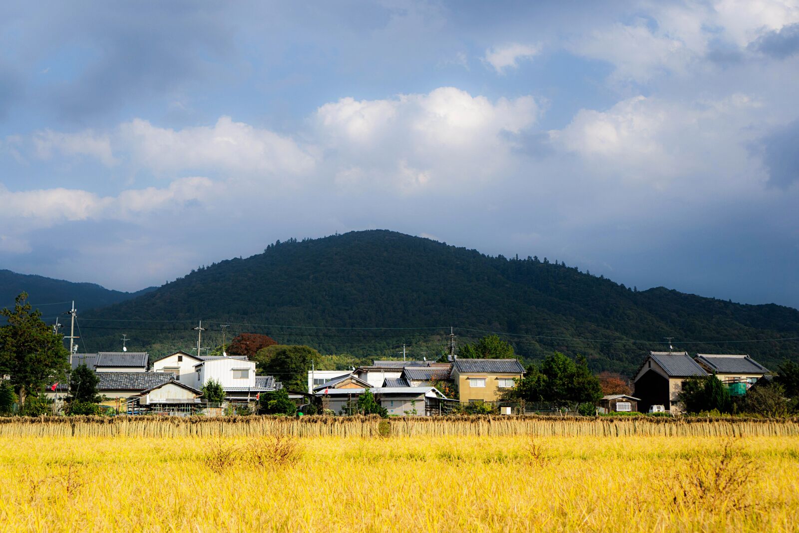 Sony a6000 + Sony E 35mm F1.8 OSS sample photo. Shrine, mountain, japan photography