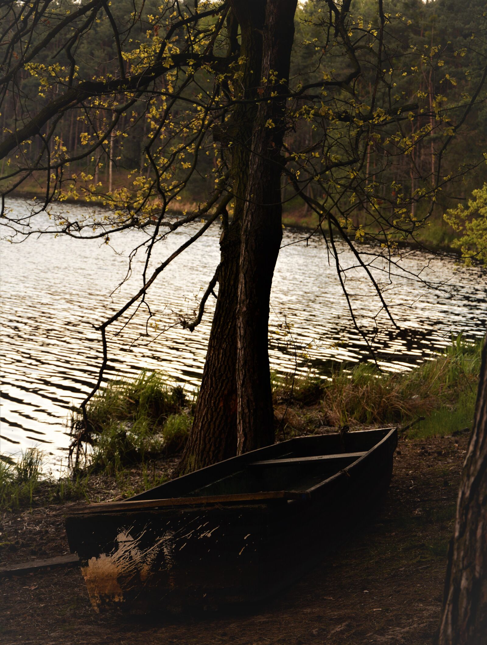 Nikon D7100 sample photo. Lake, boat, landscape photography