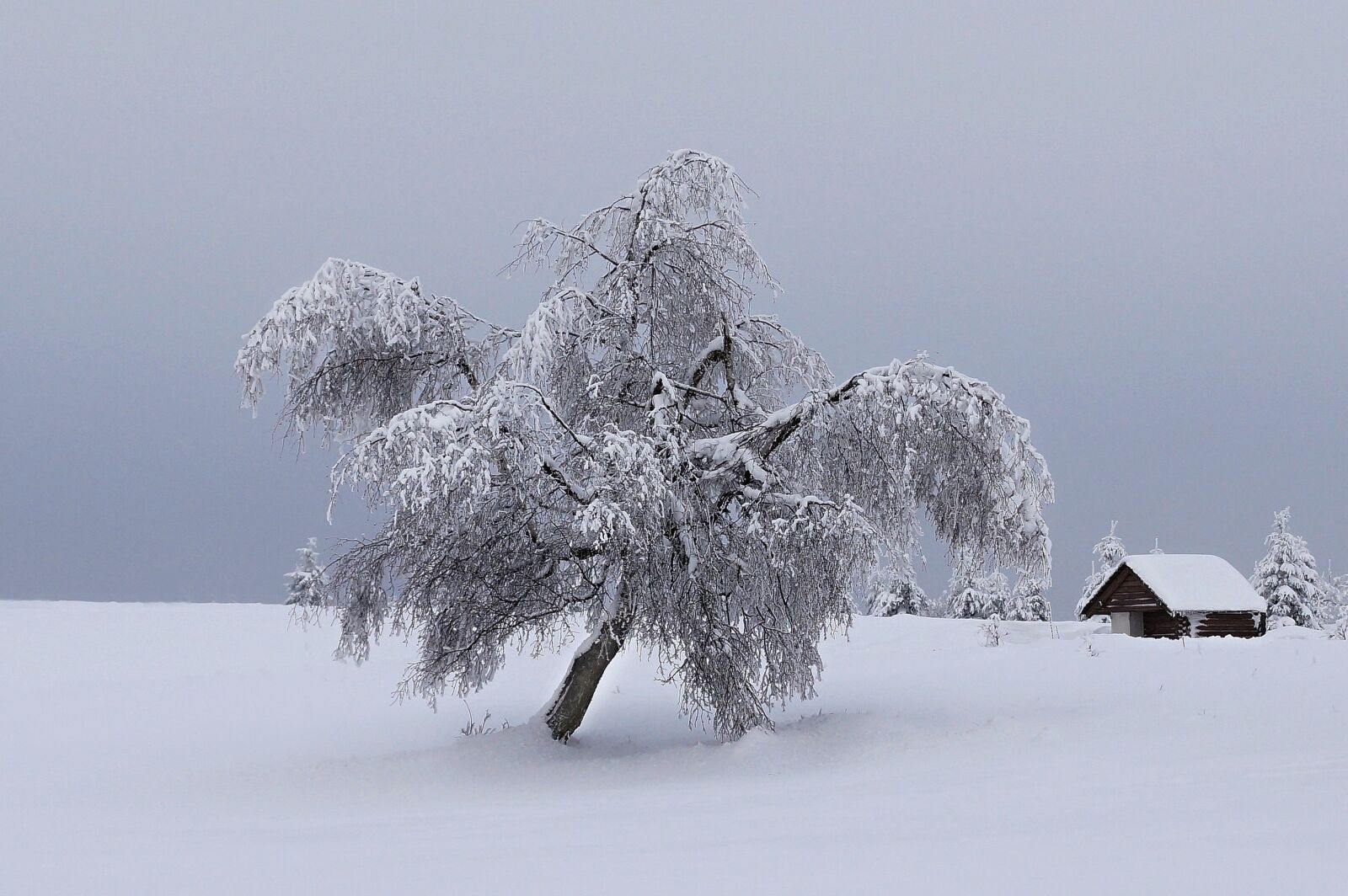 Sony SLT-A65 (SLT-A65V) sample photo. Mountains, winter, snow photography