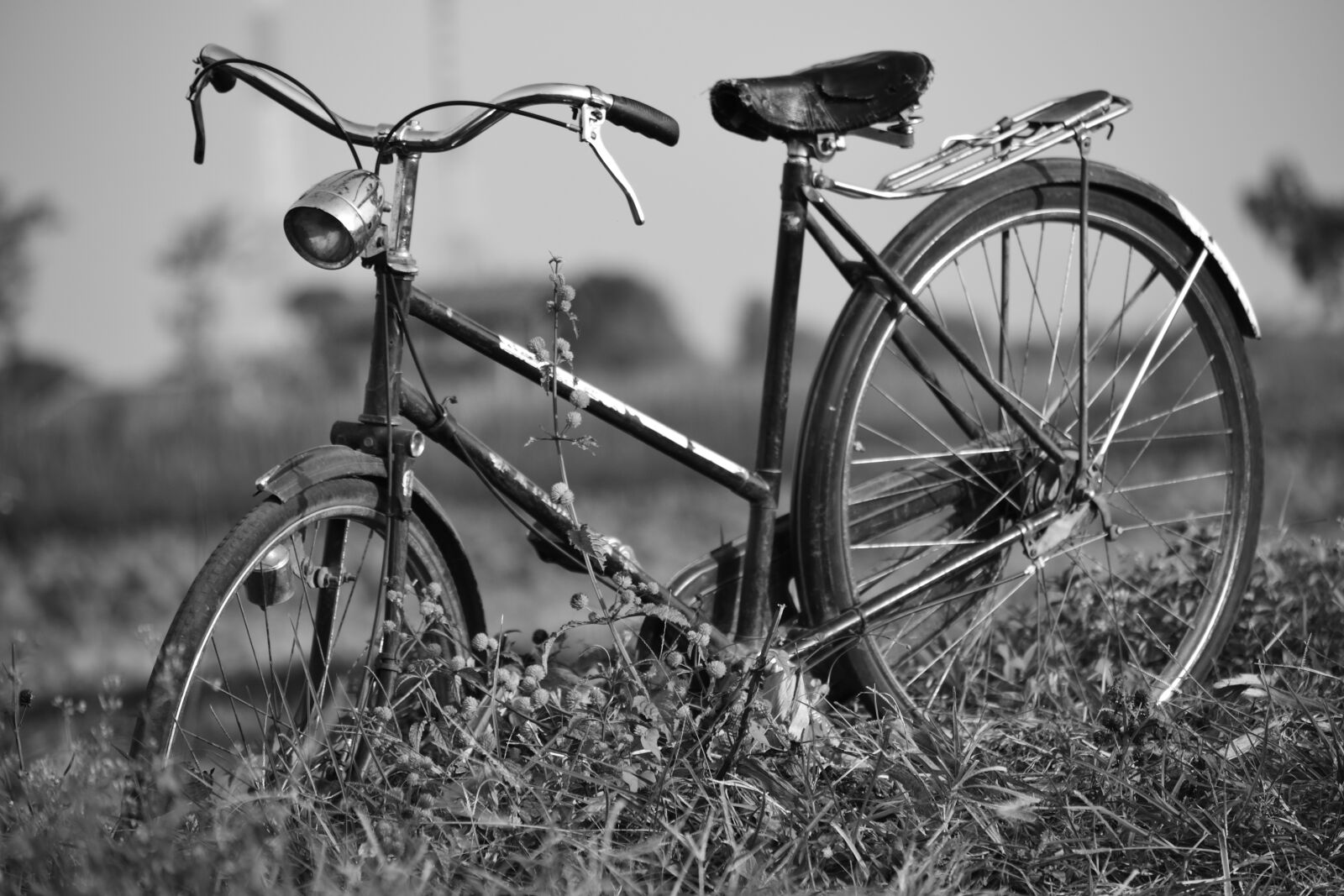 Nikon D3100 sample photo. Wheel, bike, spoke photography