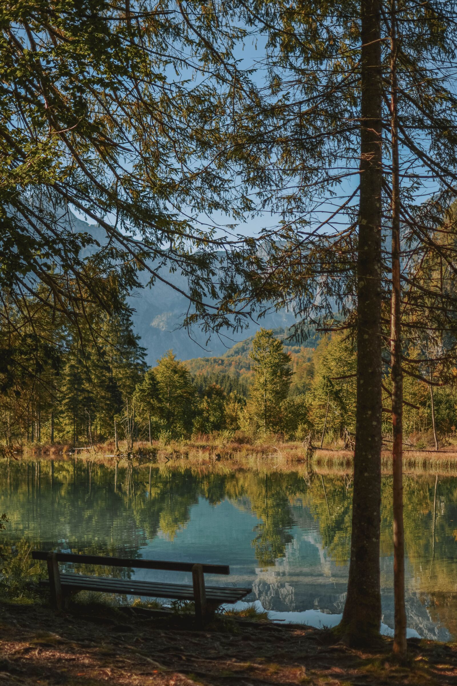 Nikon D5200 sample photo. Nature, landscape, forest photography