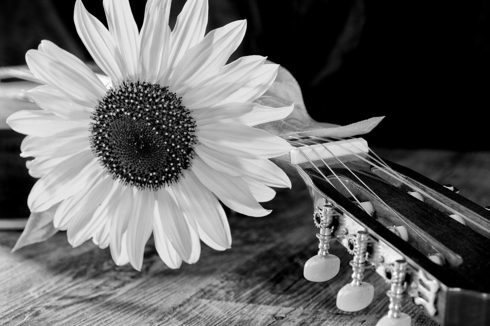 Fujifilm X-T2 sample photo. Sunflower, flower, summer photography