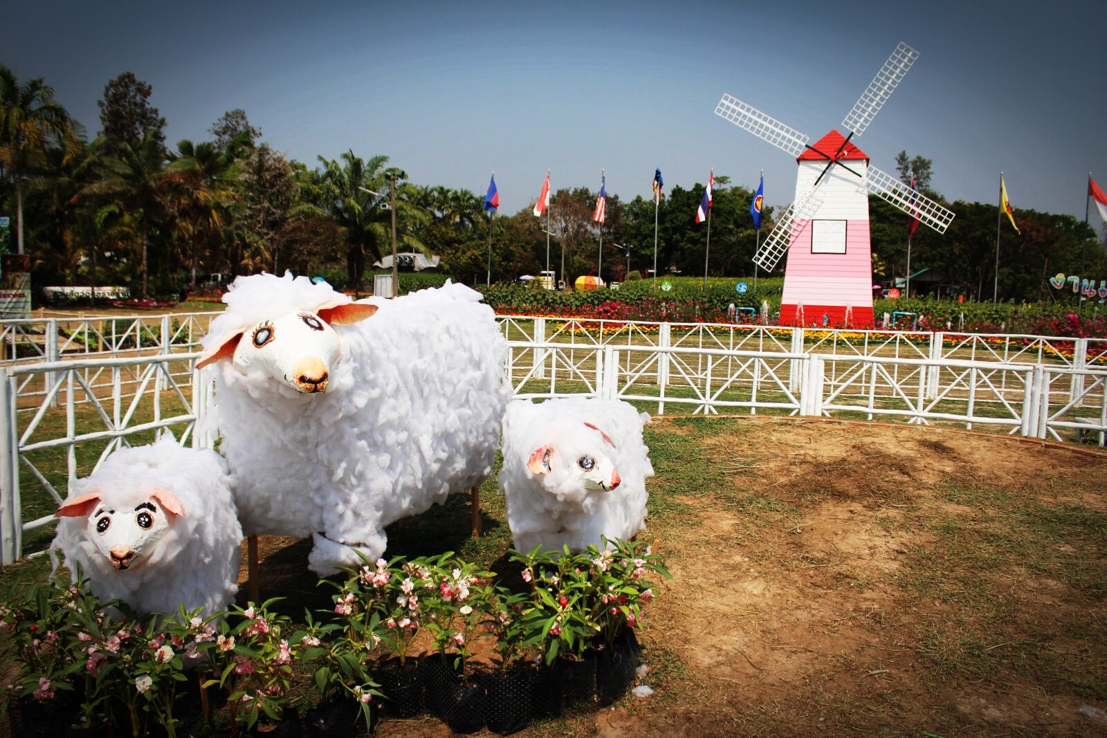Canon EOS 650D (EOS Rebel T4i / EOS Kiss X6i) sample photo. Agriculture, culture, ecology photography