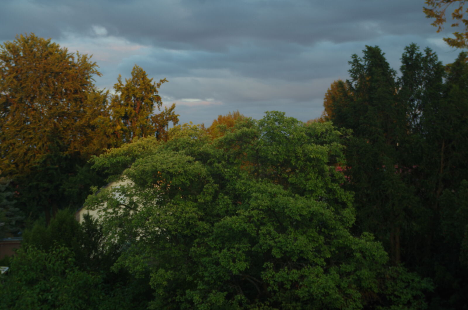 Pentax K-50 sample photo
