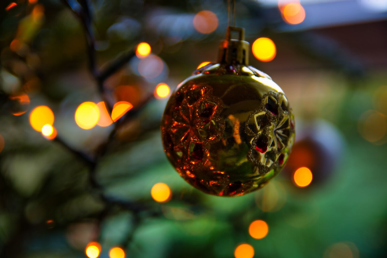 Nikon D5200 sample photo. Tree, weinachtlich, pine cones photography