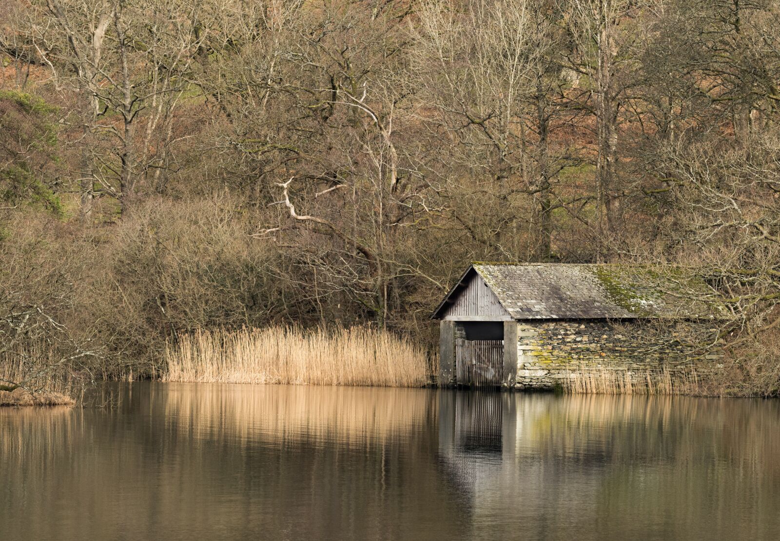 Nikon D810 sample photo. Boat house, reflections, lake photography
