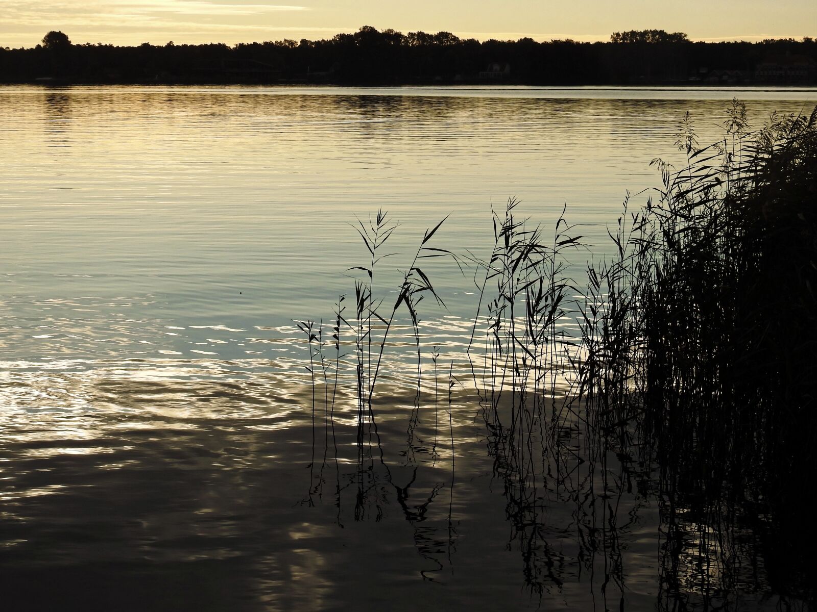 Nikon Coolpix P900 sample photo. Lake, twilight, water photography