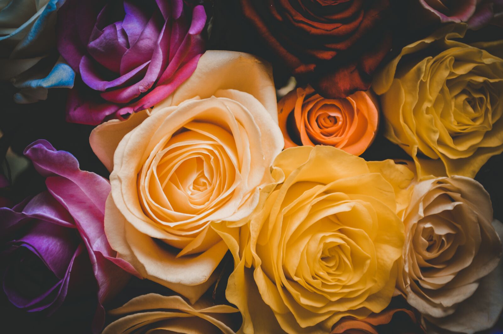 Nikon D3200 sample photo. International women's day, march photography