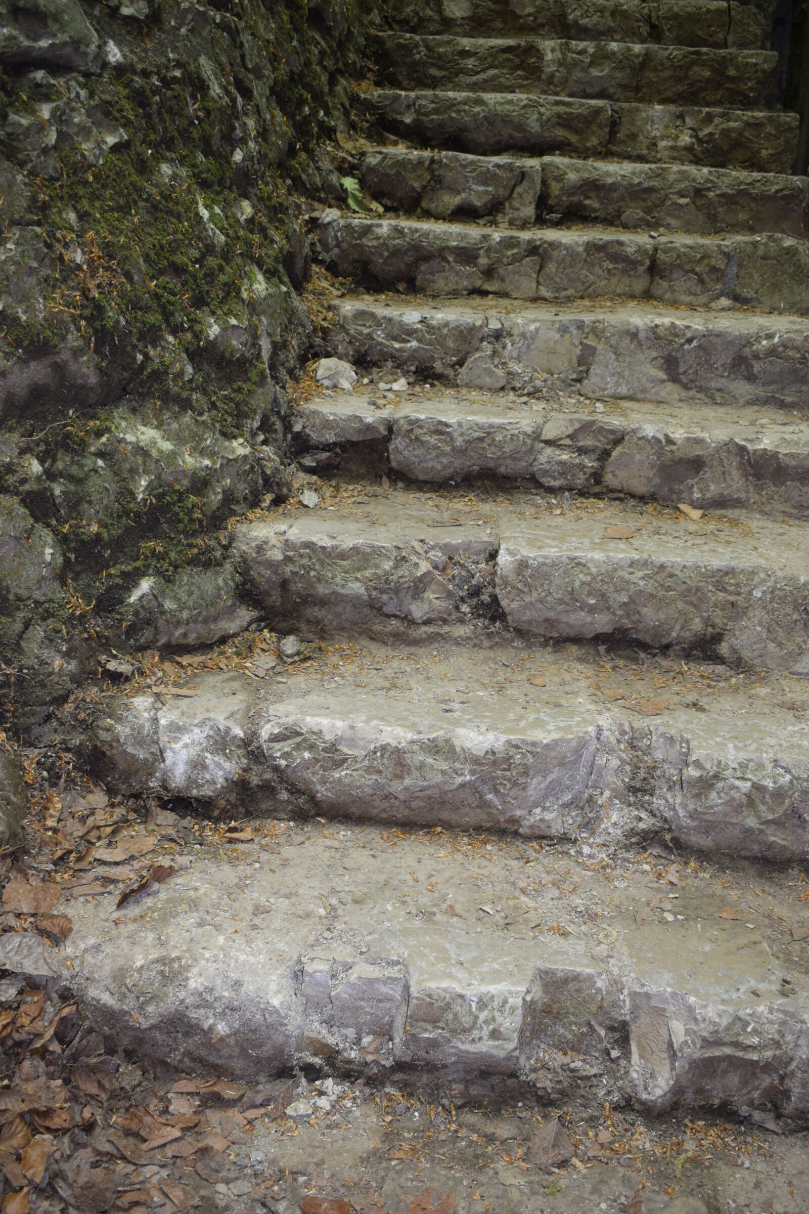 Nikon D3300 sample photo. Stones, stairs, history photography