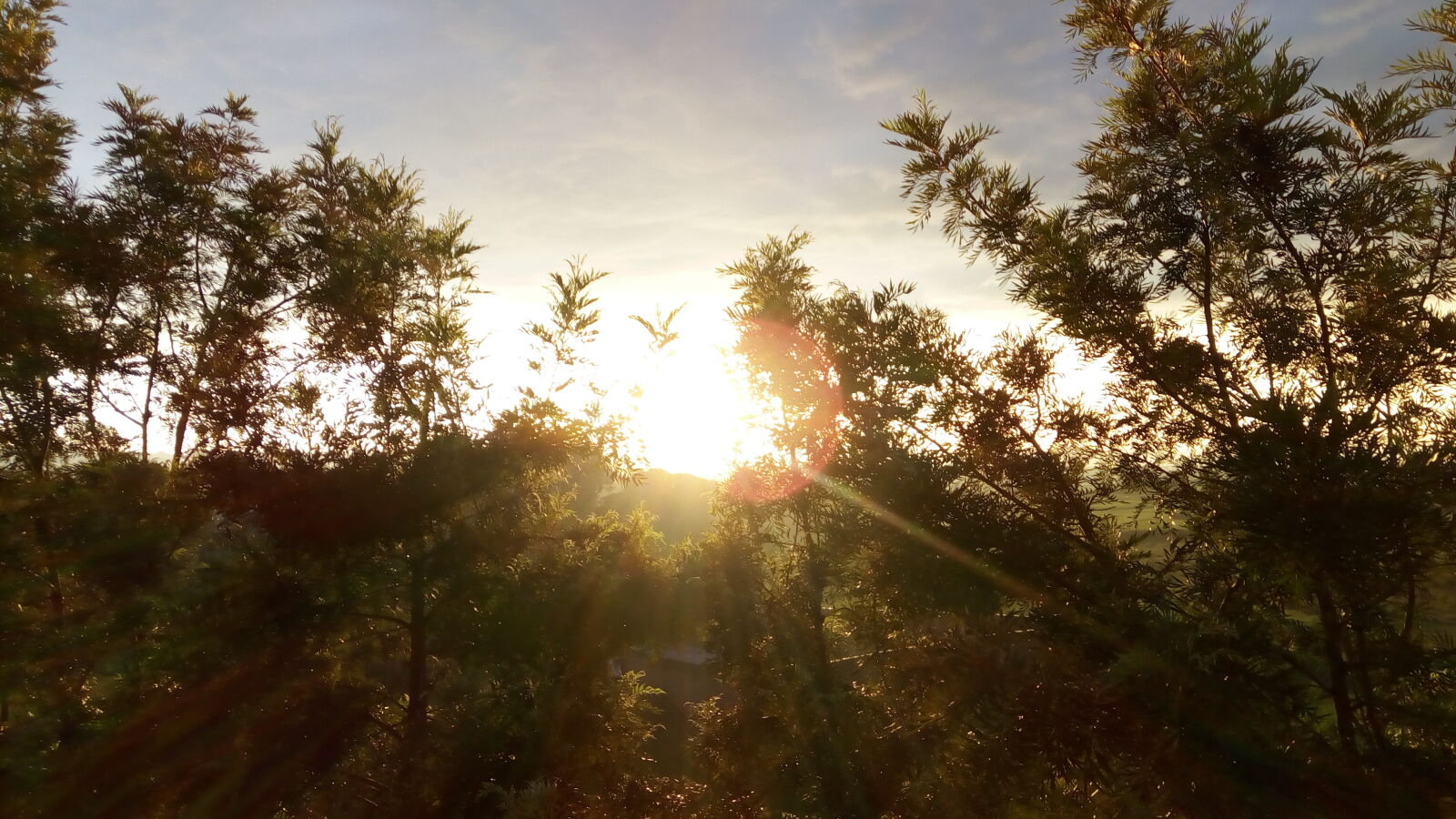 Lenovo VIBE X3 LITE sample photo