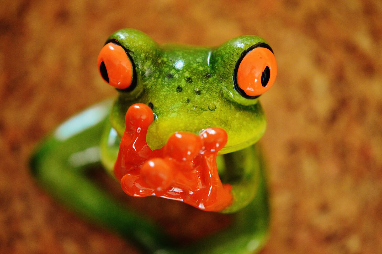 Nikon D3200 sample photo. Frog, funny, figure photography