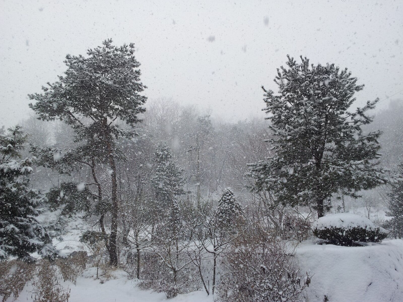 Samsung Galaxy S2 sample photo. Winter landscape, winterscape, 겨울 풍경 photography