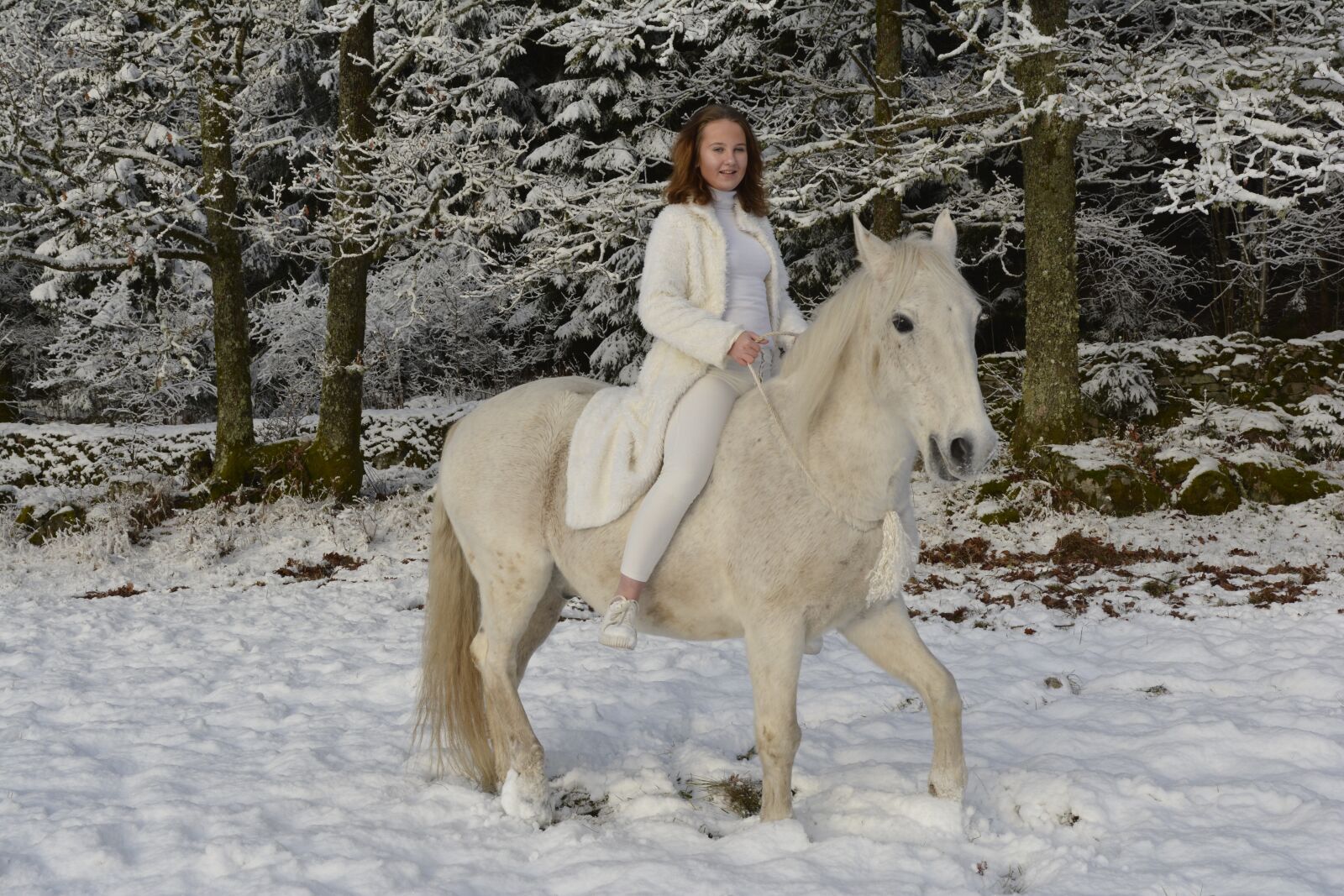 Nikon D7100 sample photo. Snow, beautiful, horse photography