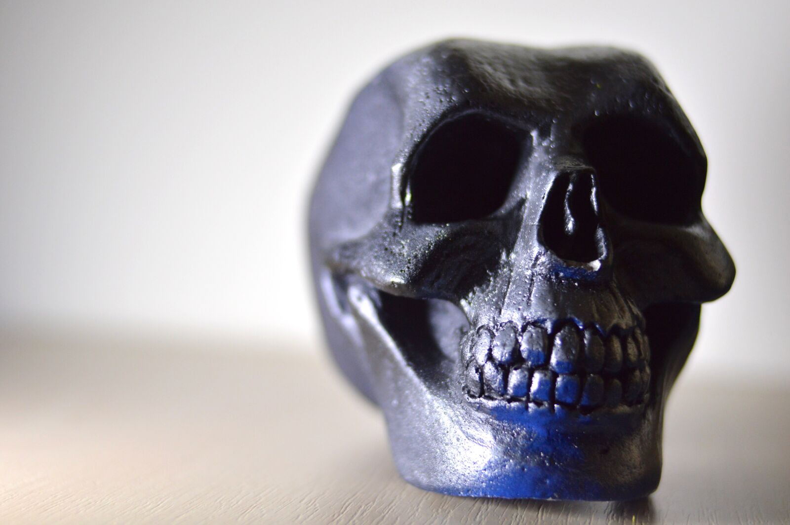 Nikon D3200 sample photo. Skull, cranium, head photography