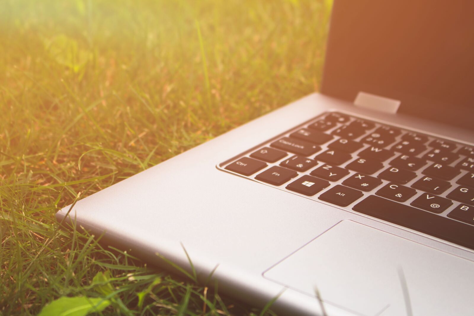 Canon EOS 100D (EOS Rebel SL1 / EOS Kiss X7) sample photo. Grass, keyboard, laptop, notebook photography