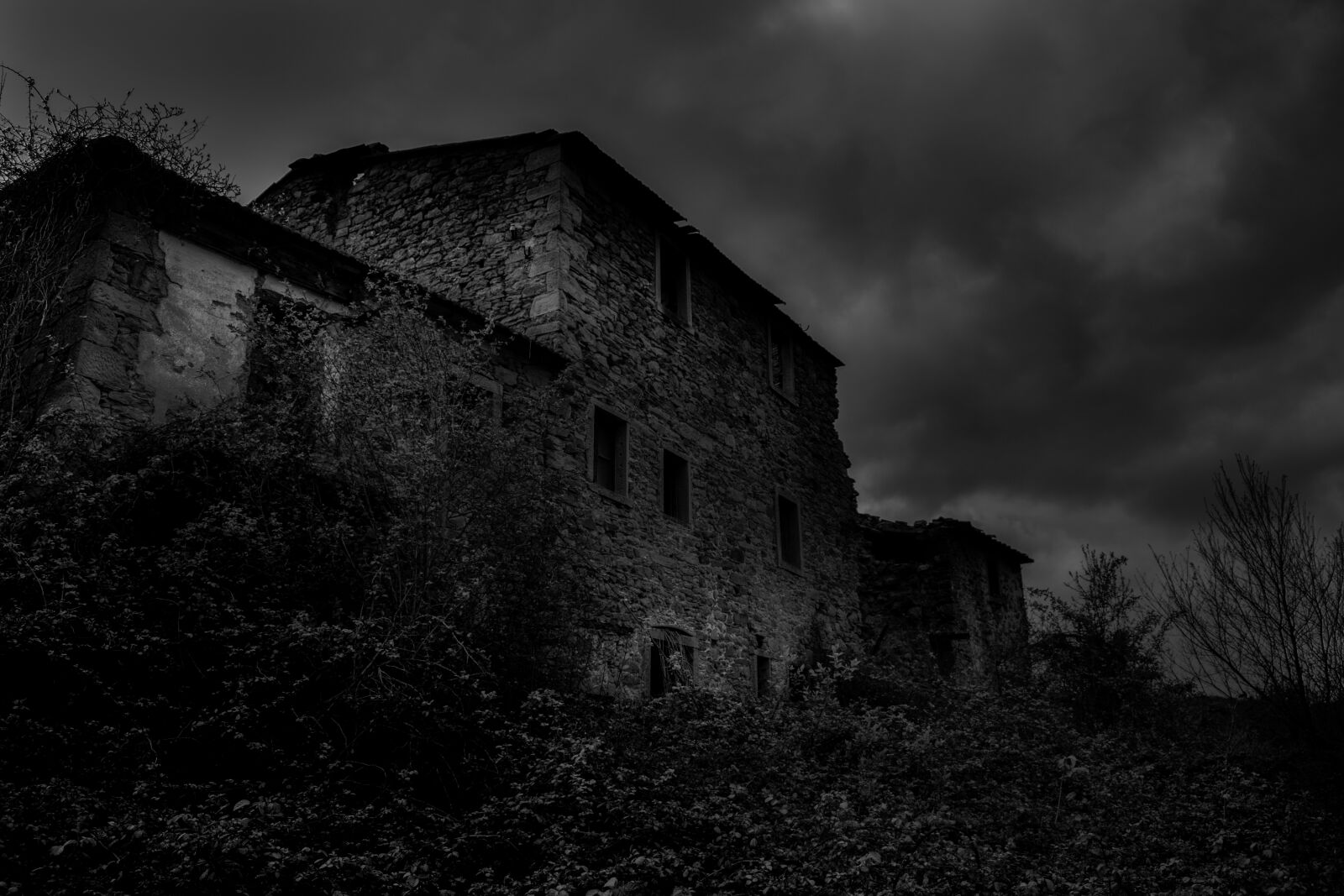 Nikon D3500 sample photo. Black, mood, night photography