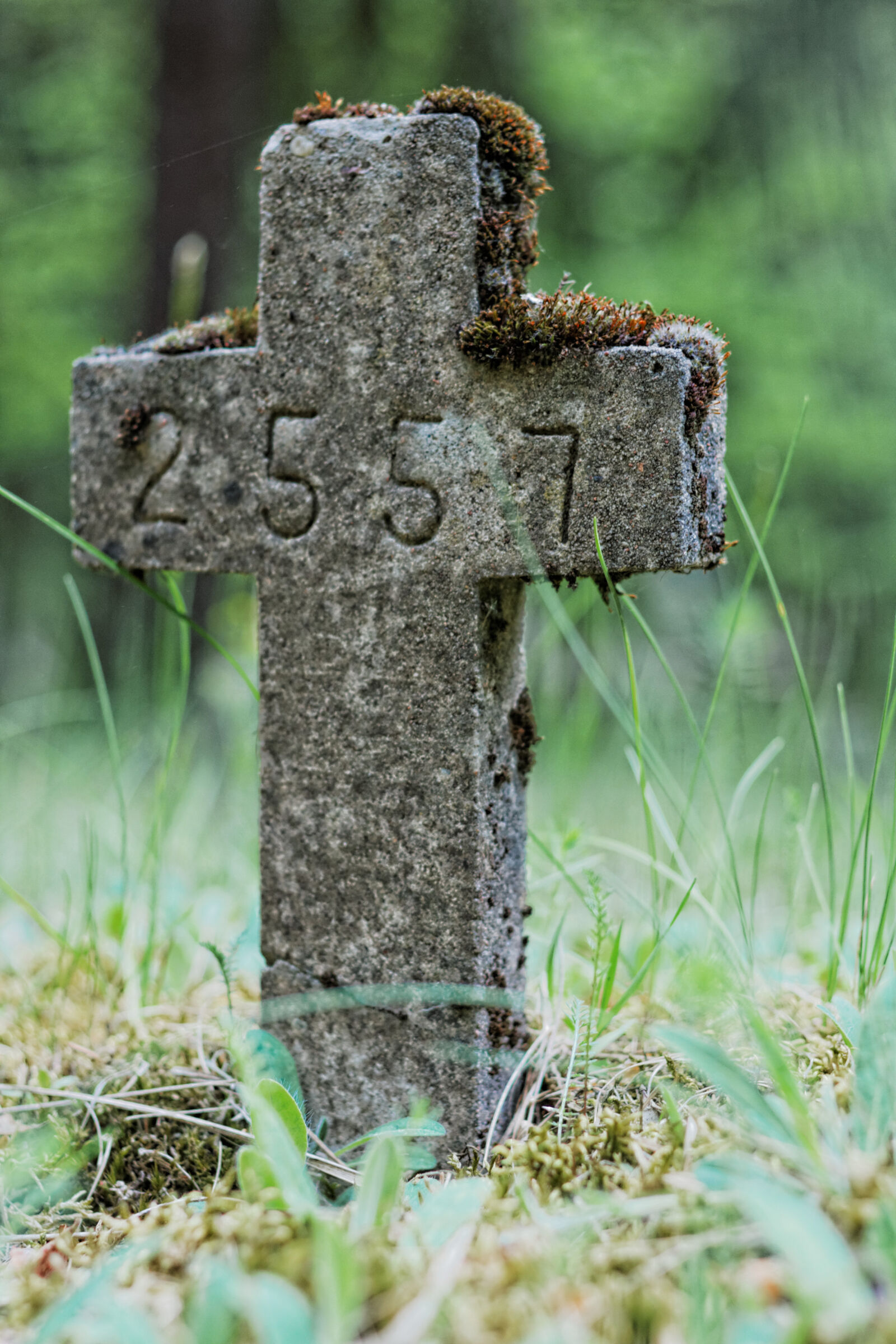 Canon EOS 400D (EOS Digital Rebel XTi / EOS Kiss Digital X) sample photo. Cross, graveyard, theme, low photography