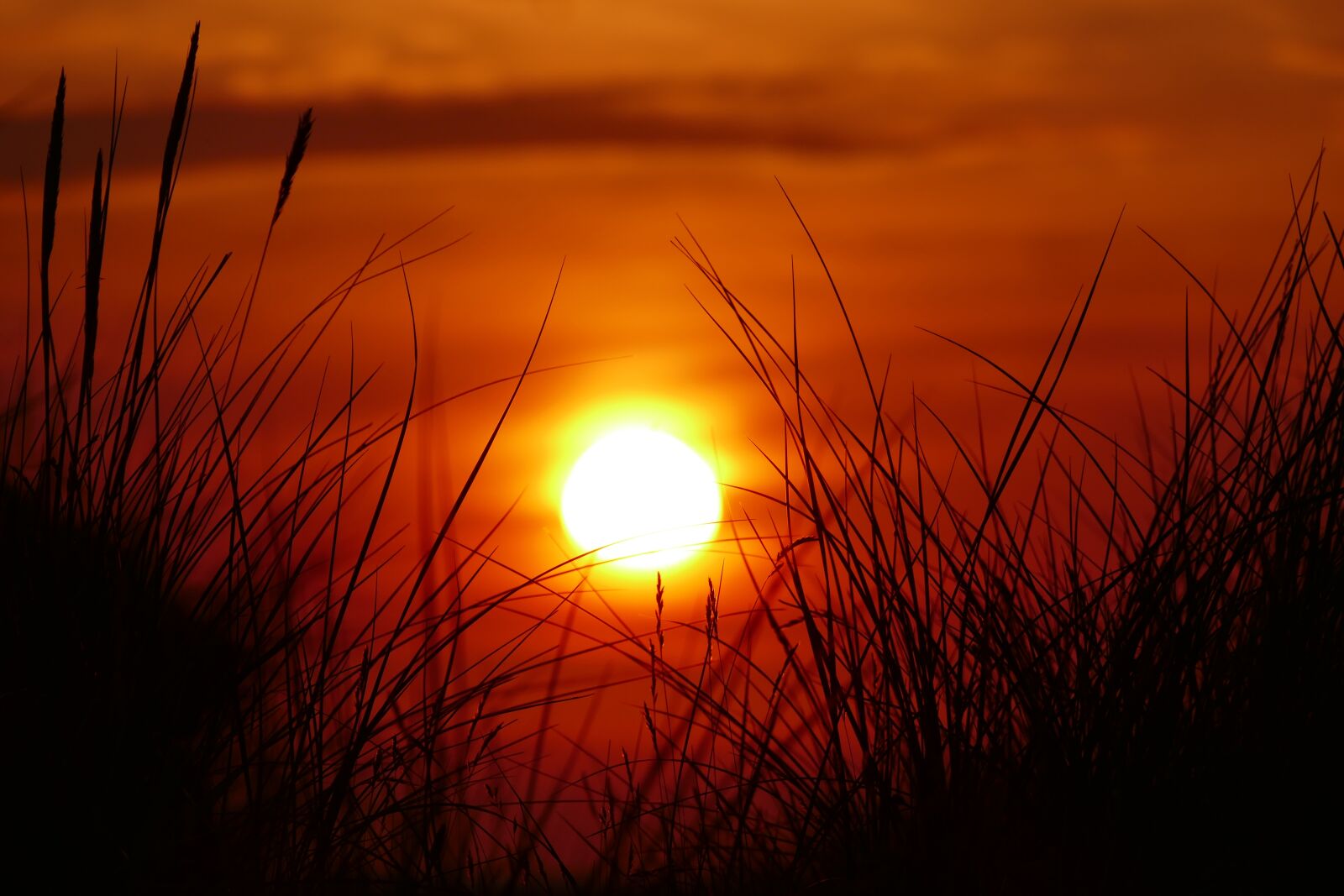 Panasonic Lumix DMC-FZ1000 sample photo. Sunset, dramatic, nature photography