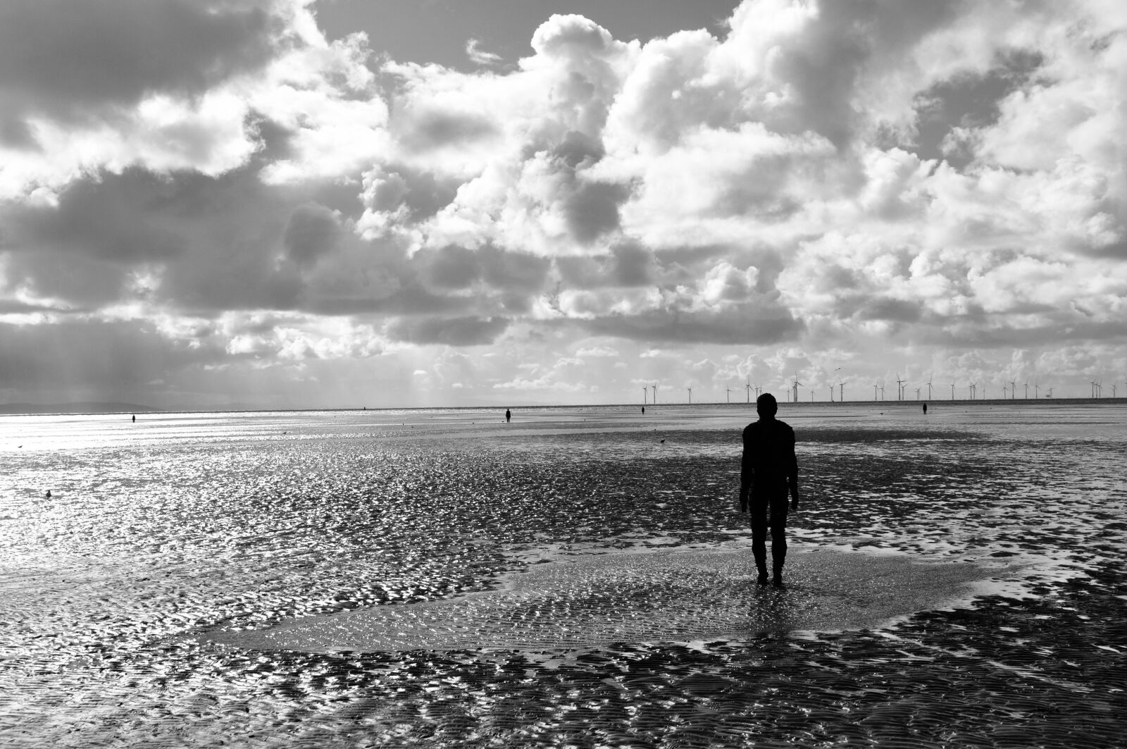 Nikon D5000 sample photo. Anthony gormley, sculpture, crosby photography
