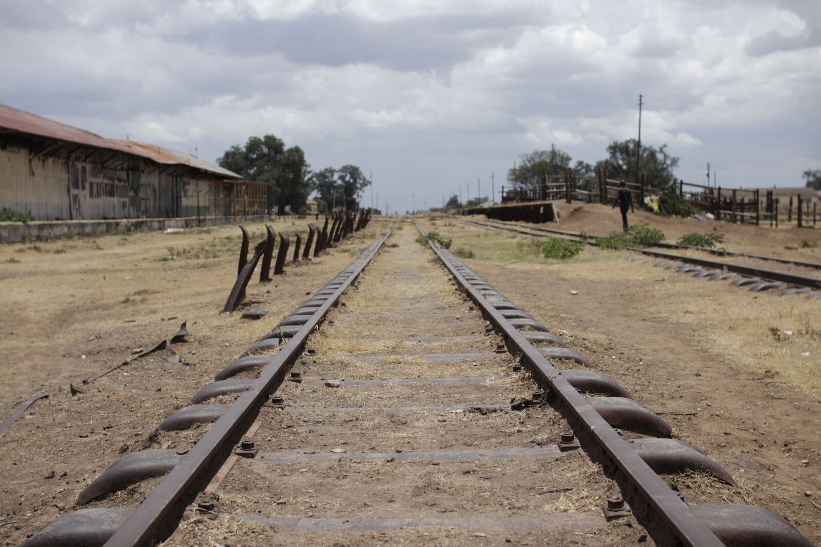 Canon EOS 600D (Rebel EOS T3i / EOS Kiss X5) sample photo. Railway tracks, outdoors, travel photography