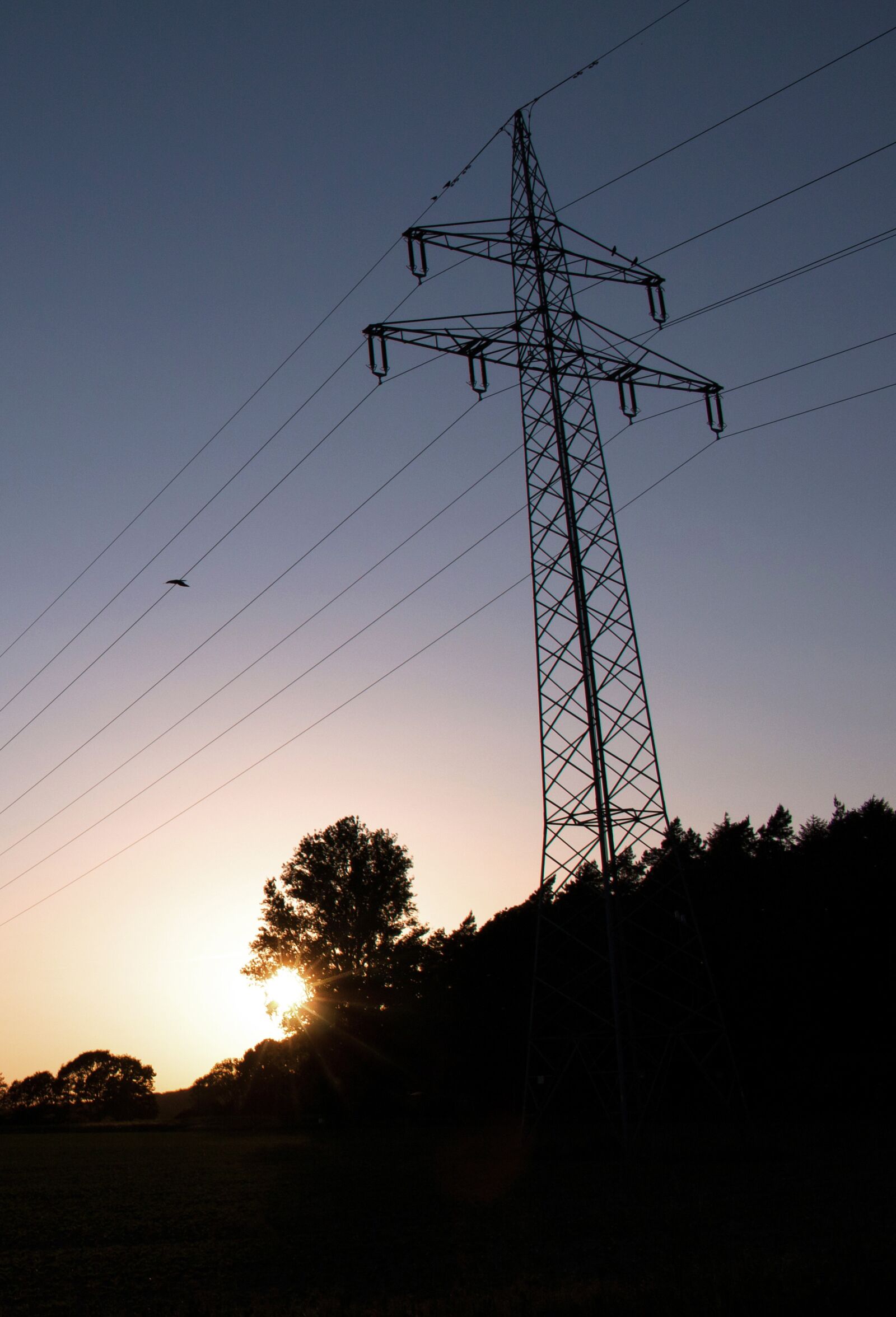 Canon EOS 70D sample photo. Strommast, power line, electricity photography