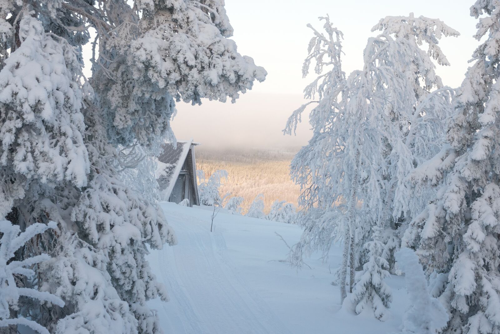 Sony Cyber-shot DSC-RX10 IV sample photo. Winter, snow, finland photography