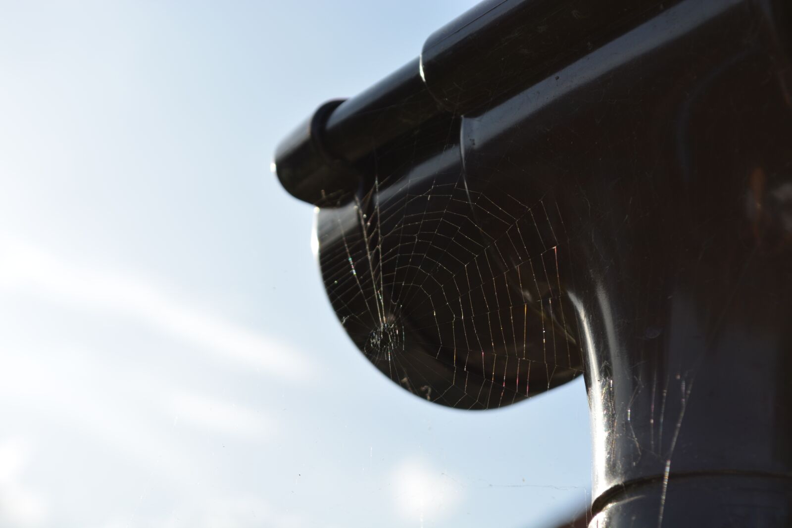 Nikon D5200 sample photo. Cobweb, spider, gutter photography