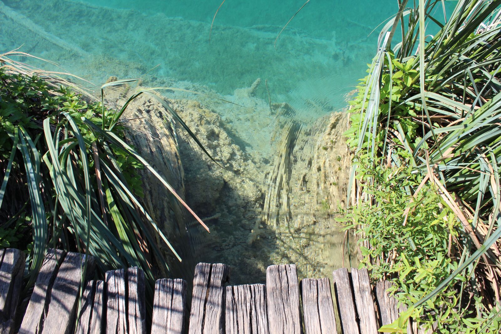 Canon EOS 600D (Rebel EOS T3i / EOS Kiss X5) sample photo. Lake, pond, water photography