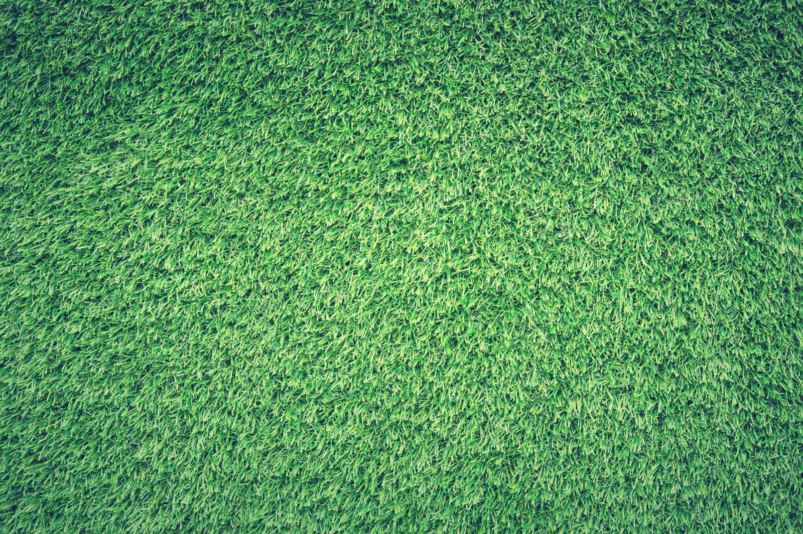 Nikon AF-S Micro-Nikkor 60mm F2.8G ED sample photo. Green, grass, lawn photography