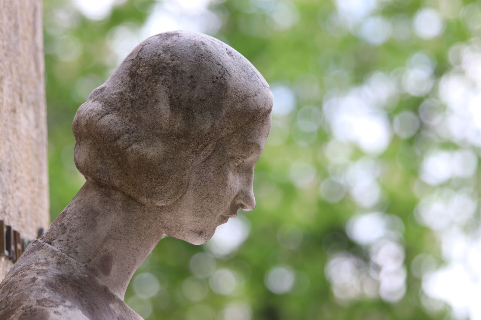 Canon EOS 200D (EOS Rebel SL2 / EOS Kiss X9) sample photo. Woman, head, sculpture photography