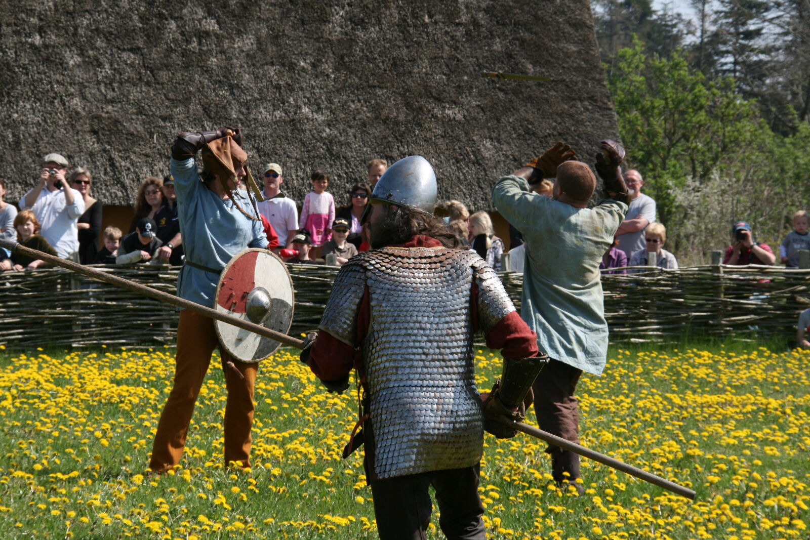 Sigma 18-200mm f/3.5-6.3 DC OS sample photo. Vikings photography