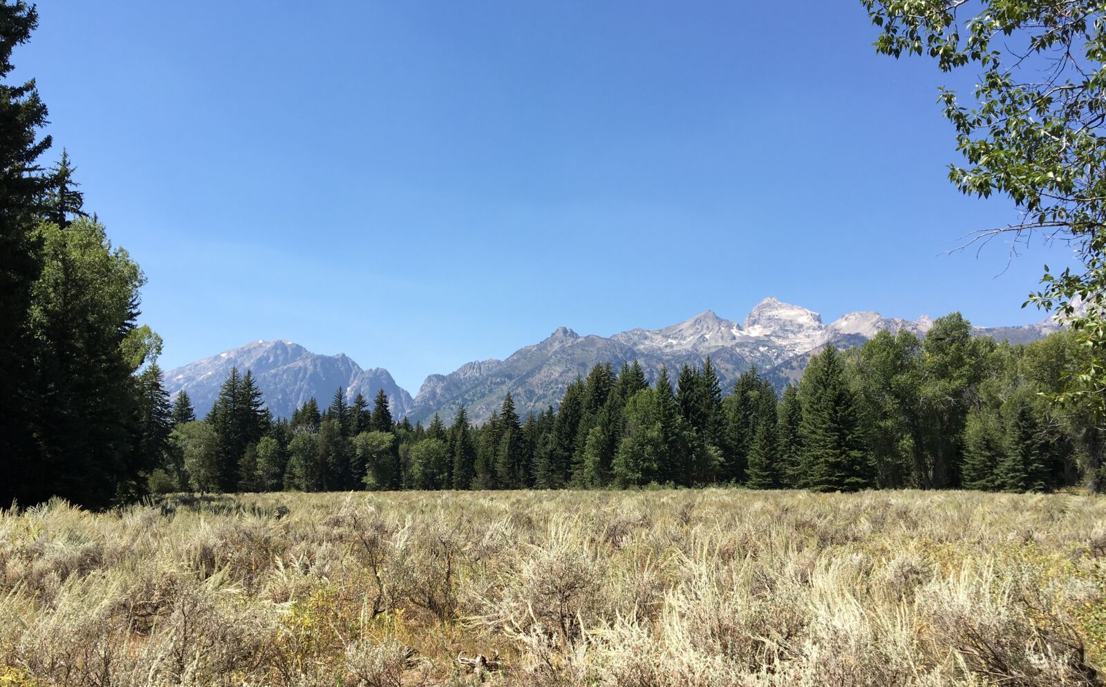 Apple iPhone 6s sample photo. Grand tetons, wyoming, mountains photography