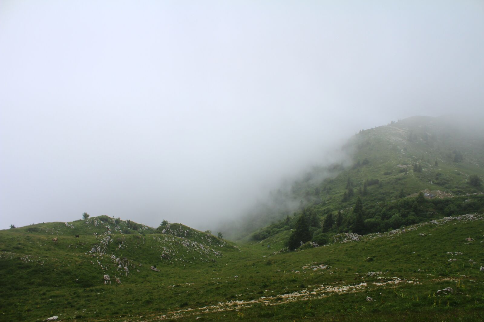 Canon EOS 600D (Rebel EOS T3i / EOS Kiss X5) sample photo. Fog, mist, landscape photography