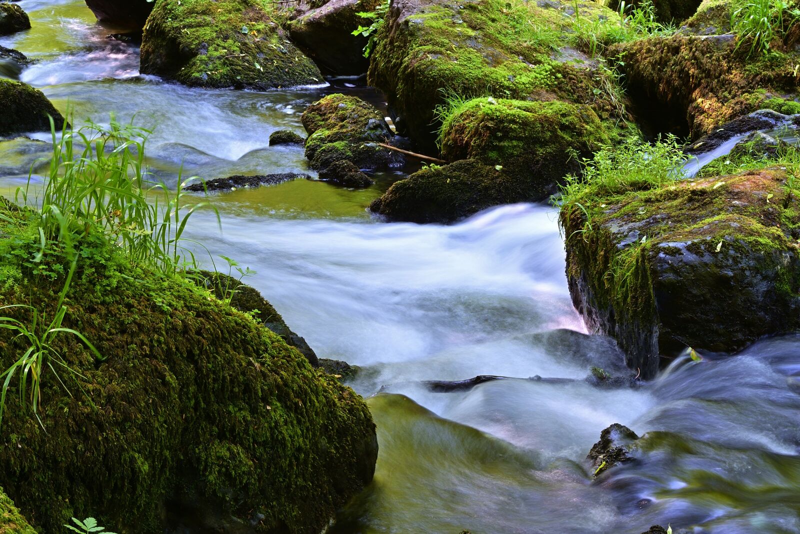 Nikon D5200 sample photo. Nature, creek, forest photography
