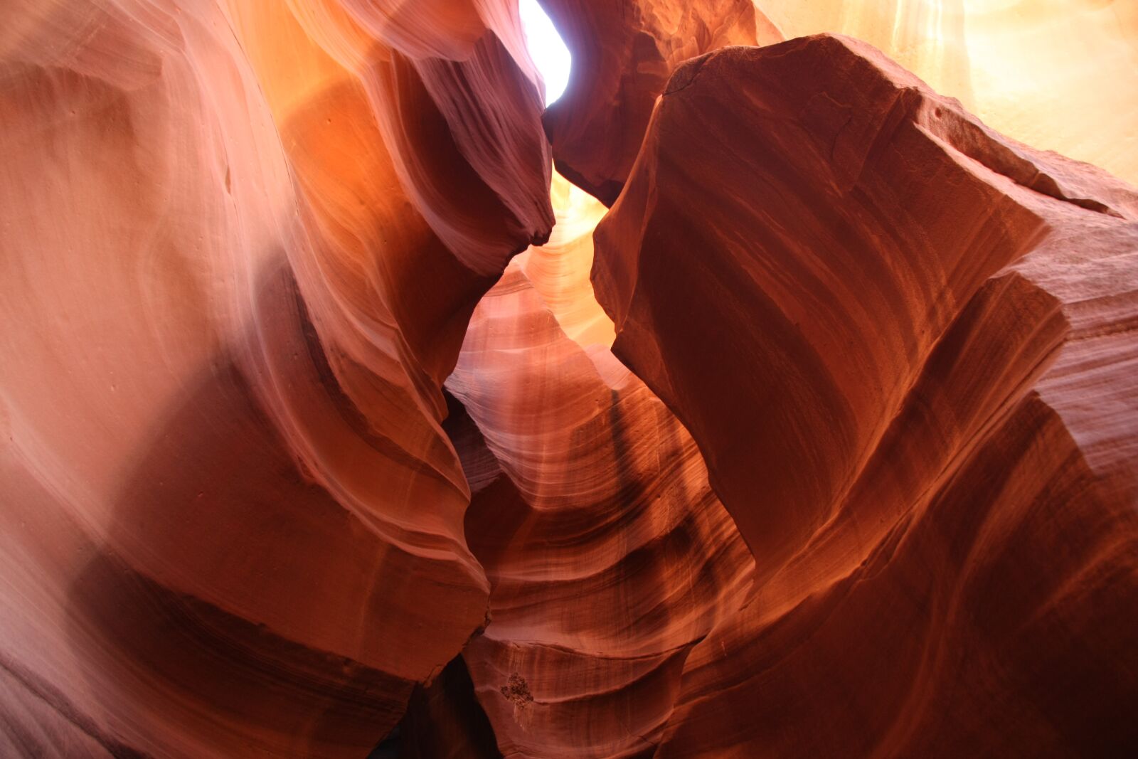 Canon EOS 450D (EOS Rebel XSi / EOS Kiss X2) sample photo. Lock, canyon, antelope photography