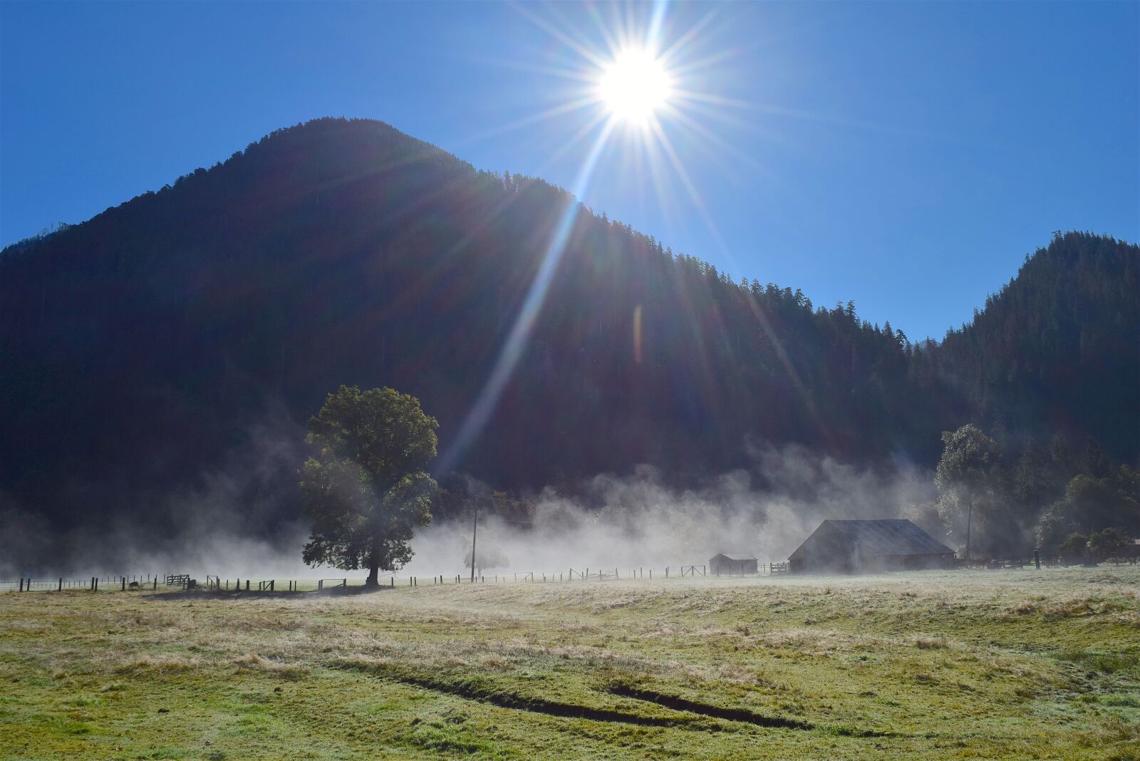 Nikon D3300 sample photo. Mountain, sunlight, fog photography