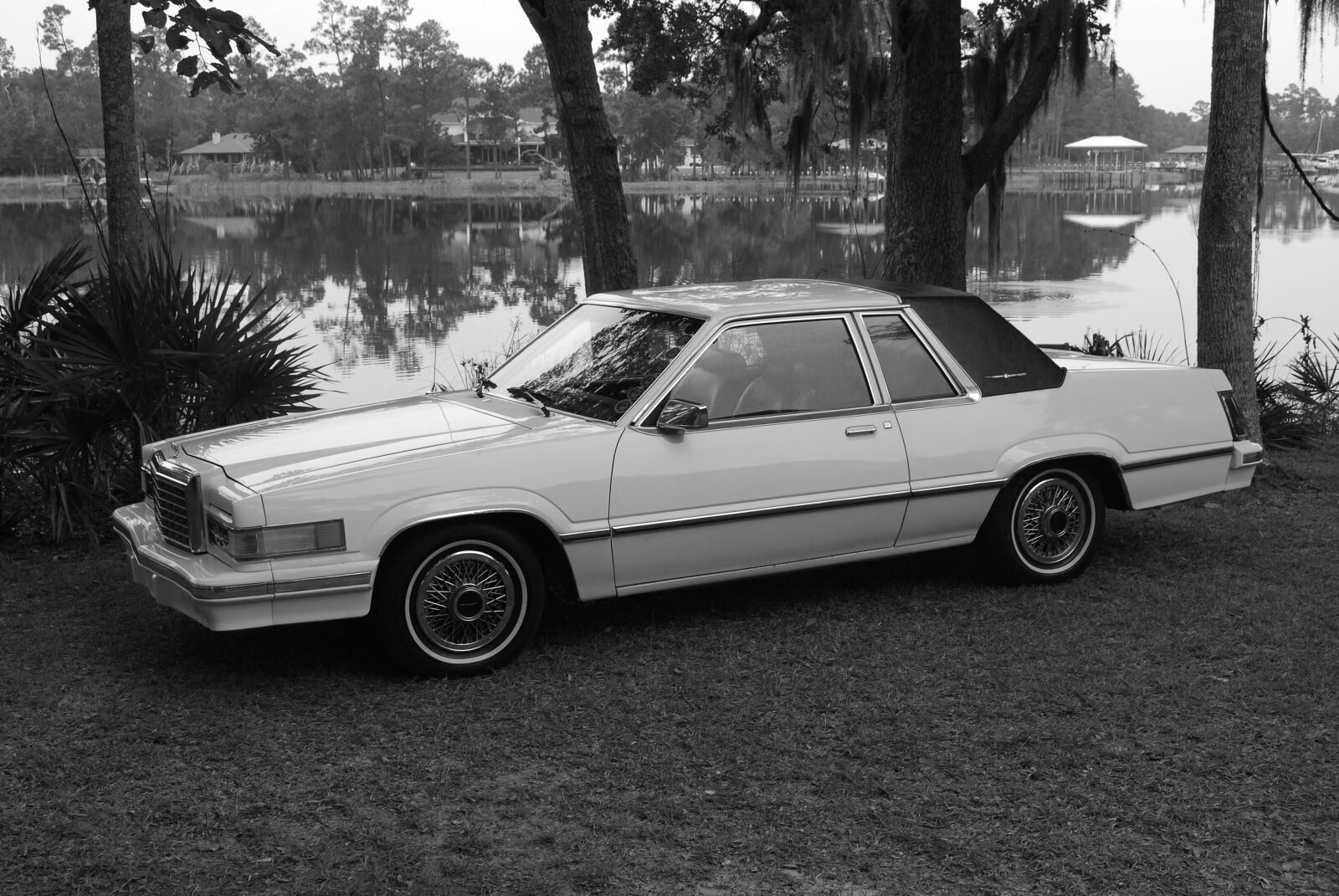 Nikon D60 sample photo. Thunderbird, auto, ford photography