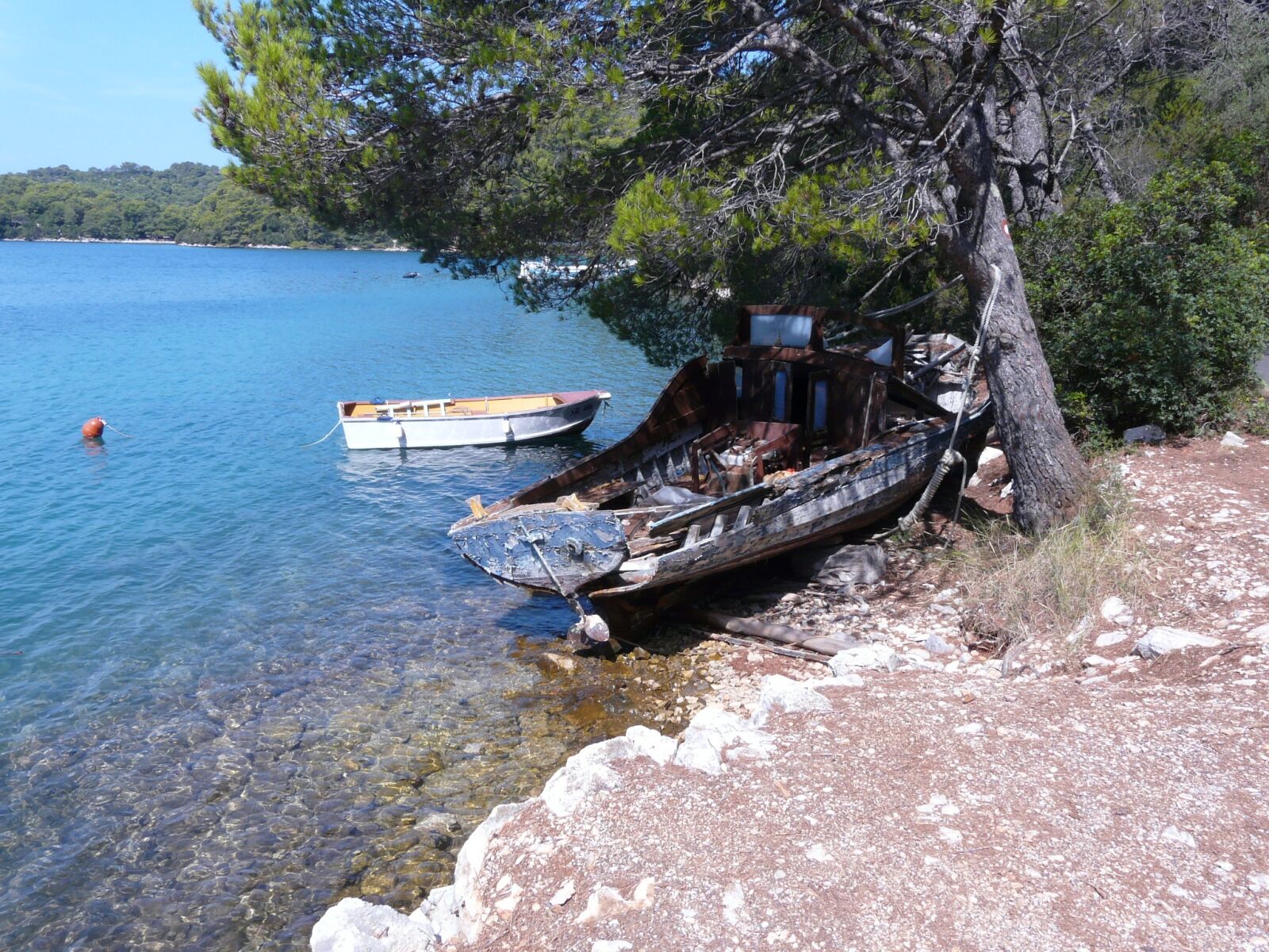 Panasonic DMC-FZ18 sample photo. Summer, croatia, mljet photography